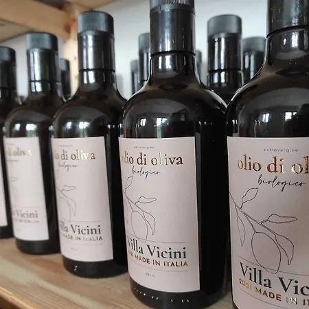 Glamping At An In The Vineyard Casa vacanze Ortezzano