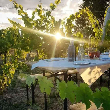 Glamping At An In The Vineyard * Ortezzano