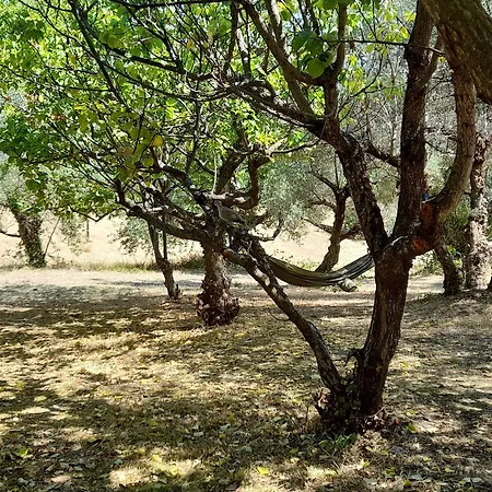Holiday home Glamping At An In The Vineyard *